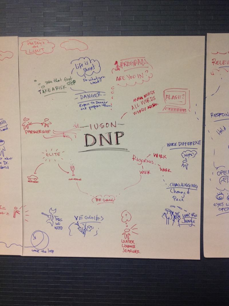 A hand-drawn mind map centred on the letters DNP.
